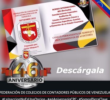 Avance de Auditoría: NIA 800 Revisada