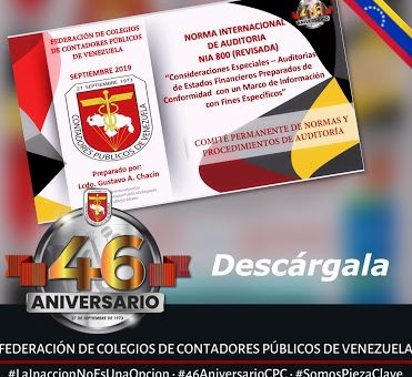 Avance Auditoría: NIA 805 Revisada