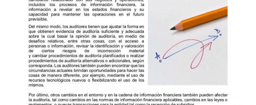 AVANCE DE AUDITORIA: Resaltando las áreas de enfoque en un entorno de Auditoría en evolución debido al impacto del COVID-19